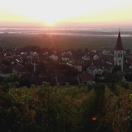 Chez Delphine Lägenhet Ammerschwihr